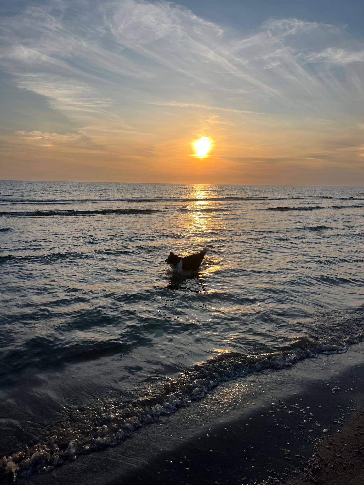 WhatsApp Image 2025-09-21 at 13.49.08 (5)